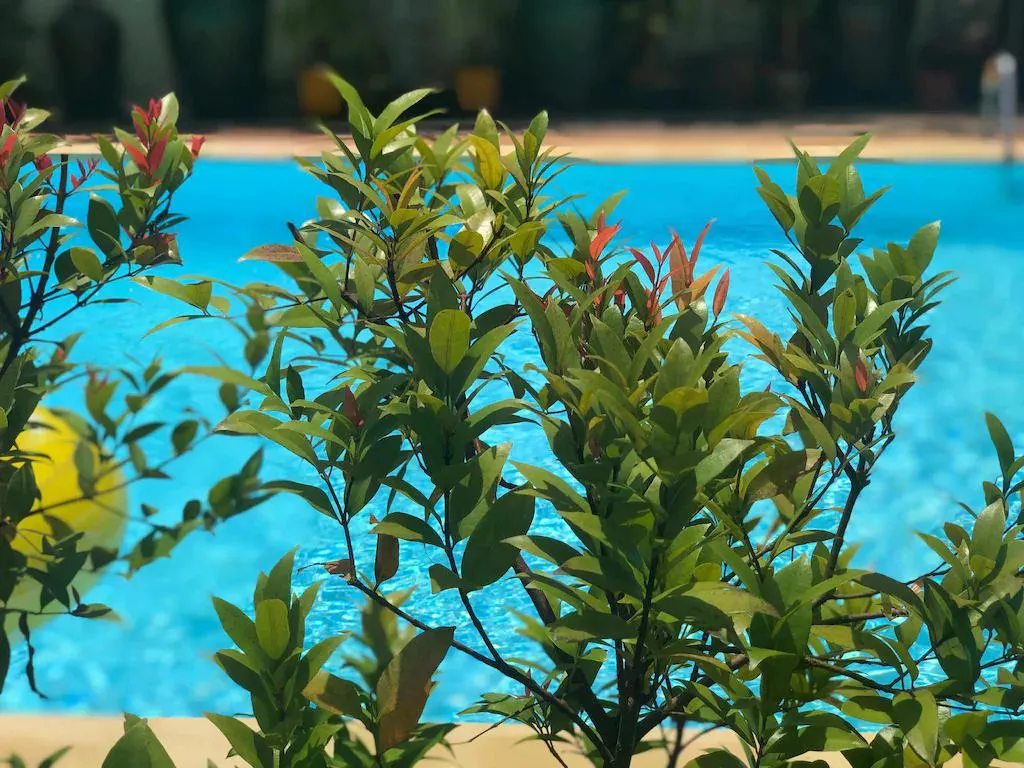 Platinum Ten Mile Hotel